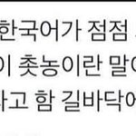 아진짜 확실히 쌍수나 성형은