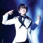 [EXO] 이 사진 개귀엽지않음?
