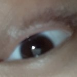 [조언부탁해] 나 속눈썹ㅈㄴ짧은데 <b>뷰러</b>가눙..?