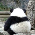 <b>모솔</b>인 새럼?