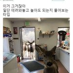 [드루와] 요즘 <b>언어</b>좀 알려주실분