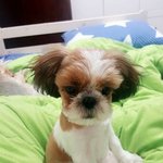 [EXO] 이 <b>갱</b>쥐 ㄹㅇ ㅈㄴ 귀엽지않냐