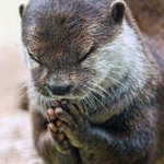 [꼭조언부탁] 재산 <b>미리</b>주니 맏며느리가 시어미 보기 싫다고 제사도...