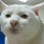 애ㅡ미나 <b>애비</b>나 똑같아