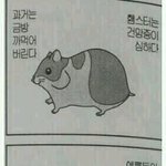[드루와] 뷰튜버중에 누가 화장 제일 잘하는 것 같음?