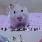 [드루와] <b>물리</b> 도와주라ㅠㅠ