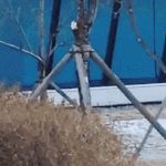 [EXO] 조카 <b>멋쟁이</b>