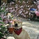아ㅈㄴ언니 <b>샤워</b>함