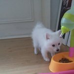[EXO] 야 이틀전에 갱쥐 이름 글 쓴앤데