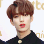 [세븐틴] 멤버들 실물이랑 젤<b>비슷</b>한짤