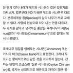 <b>시나몬</b>이랑 계피 ㄹㅇ 다른거임ㅋㅋㅋㅋ