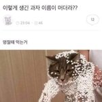 <b>후</b>다후<b>다후다</b>보이
