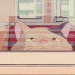 [댓글부탁해] 본인이 쓰고 있는 <b>틴트</b> 적고가보자!