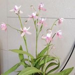 [댓글부탁해] "진실을 통해서 이 세상이 치유되어야 한다"