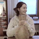 고양이들과 삼각관계인 윤아 <b>GIF</b>