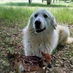 <b>웜쿨</b> 상관없이 어울리는 블러셔 추천좀ㅠㅠ