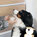 <b>오사카</b>갈때 외국인들이 한번씩 멈추는 장소.gif