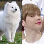 강다니엘 싱크로율이..