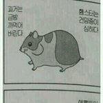 [댓글부탁해] 택배방문<b>수령</b>해본 판녀있니