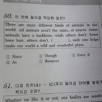 영어 <b>평타</b> 이상 다 들어와봐