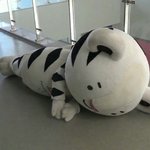 [드루와] 아이스크림 추반하자