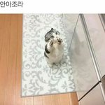 얘들아 ~~무엇 <b>이가</b> 어디서 나온말임