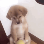 진짜 궁금한게 학교에 <b>민원</b> 넣는 주민분들은 도대체 왜 넣으시는 거야...