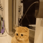 아....이제 40분 남았는데 너무 힘들다......