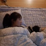 조카와 강아지