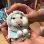 [댓글부탁해] 얘들아 새학기에 <b>도수</b>없는 안경끼고 다니는애 ㅂㄹ?