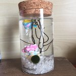 [EXO] 마리모 데려왔는데 이름 좀 <b>지어</b>주삼