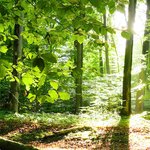 [드루와] 너네 <b>야민정음</b> 쓰지마 ㅋㅋ