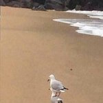 글 삭됐는데 고소 가능해?