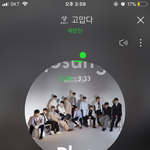 [세븐틴] 세븐틴의 꿈에 따라와 주시겠습니까?