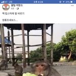 나 독서실인데 에<b>바야</b>