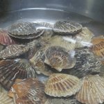 [EXO] 히히 <b>조개</b>먹을거