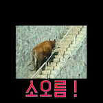 [19] 속바지 <b>여혐</b> 아님?