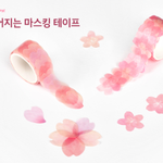 [드루와] 얘들아 <b>렌즈</b>파는 <b>사이트</b> 뭐였지?