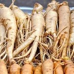 [드루와] <b>인삼</b>녀 존예킹 짱예쁘시다