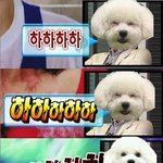 [EXO] <b>베톡</b>에 비비짤 죤나귀엽네
