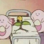 나 이목구비는 별로인데 <b>주차</b>가 잘됨