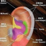 귀 뚫고 싶은데 <b>위치</b> 추천좀