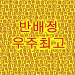 2시에 올리는 반배정부적