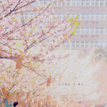 [드루와] 화창한날 걸으면서 듣기좋은노래