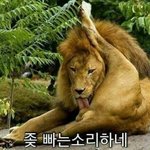 명품에 미친친구 어떻게 말려..?