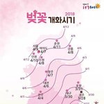 <b>흔적</b> 남기면 벚꽃보러갈 썸남 생김