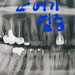 [댓글부탁해] 미칠듯 후회 한심한가요