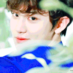 [EXO] 야