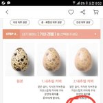 익스트림 커버는 그냥 달걀아이냐 ㅋㅋㅋㅋㅋ