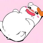너네 <b>샴푸</b> 뭐쓰냐